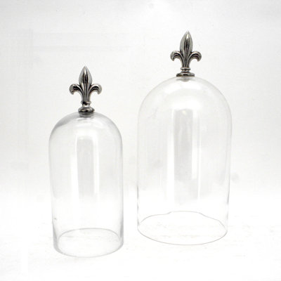 Avelyn Cloche Or Water Globe