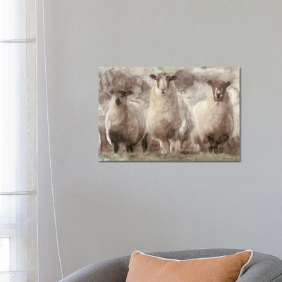 Three Sheep - Wrapped Canvas Print