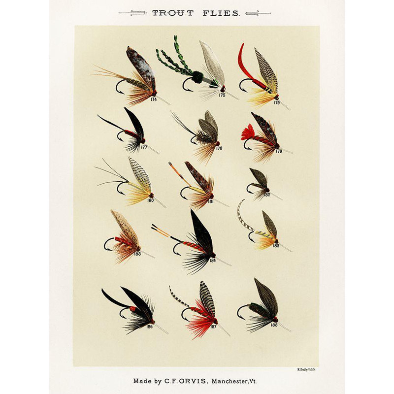 Marbury, Mary Orvis Canvas Art: Trout Fishing Flies V from Favorite Flies and Their Histories, 18" H x 15" W