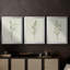 Olive Leaves I - Toile tendue avec châssis sur mesure - 3 pièces-1608105434-1608105437