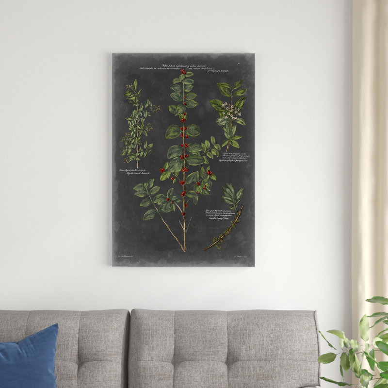 Tableau botanique rétro, H 36 po x l 24 po x P 1,25 po