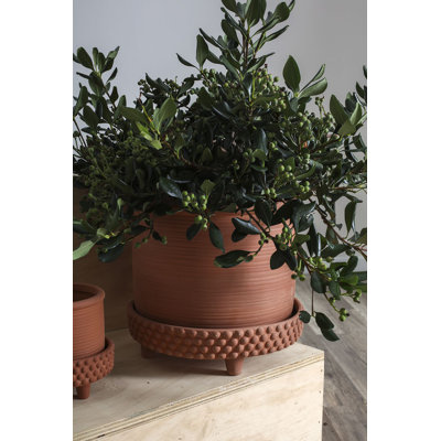 Hendrikka Handmade Ceramic Pot Planter