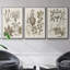 " Sepia Botanical Journal VI " 3 - Pieces-91891620-91891621