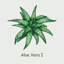 Aloe vera III - impression sur toile tendue-2007961664