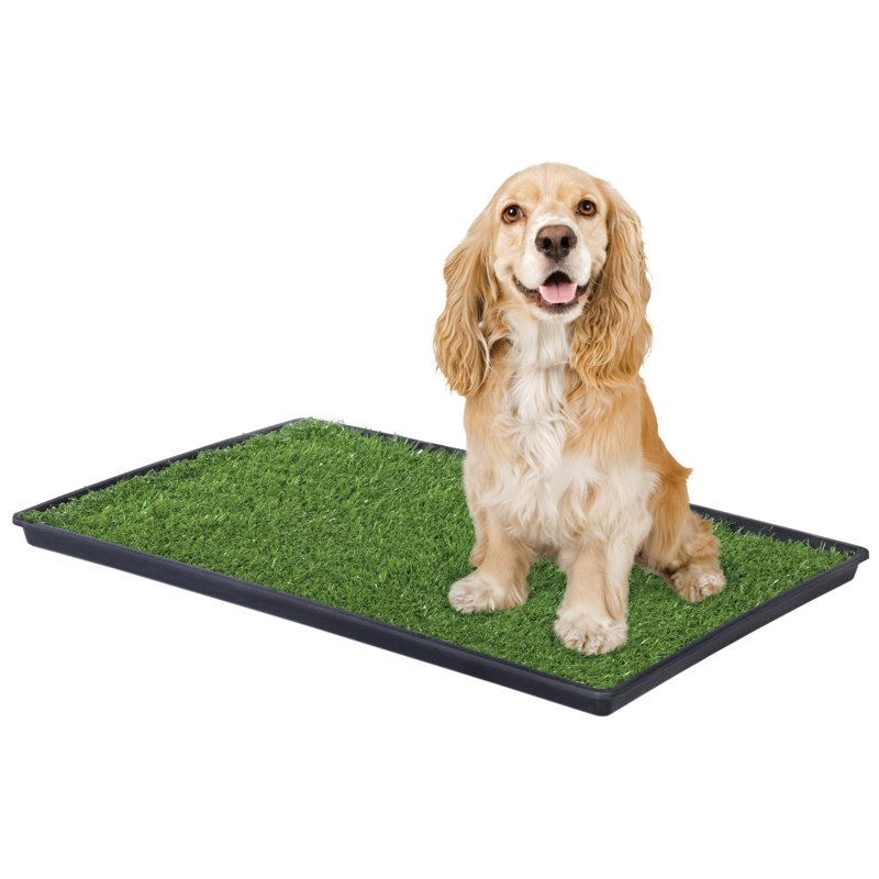 Nicolas Turf, Moyen (H 1,25 po x l 19,63 po x P 29,63 po)