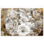 «Golden Daisies», impression sur toile-29830664