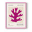 Matisse CLXI, reproduction encadrée - bois massif-1870271345-1870271354