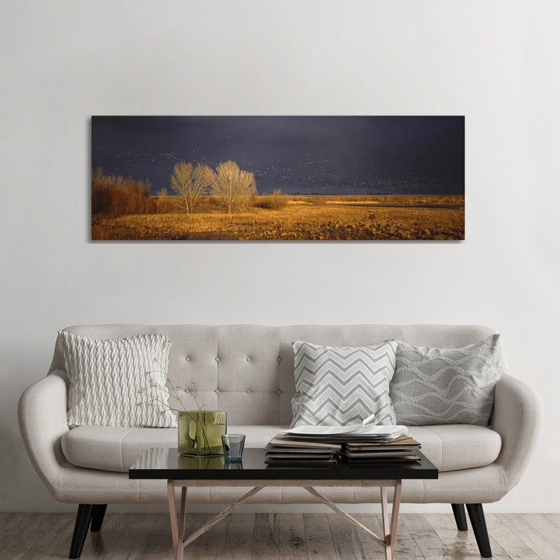 Flock Of Snow Geese Flying, Bosque Del Apache National Wildlife Reserve, Socorro County, New Mexico, USA - Wrapped Canvas Panoramic Print