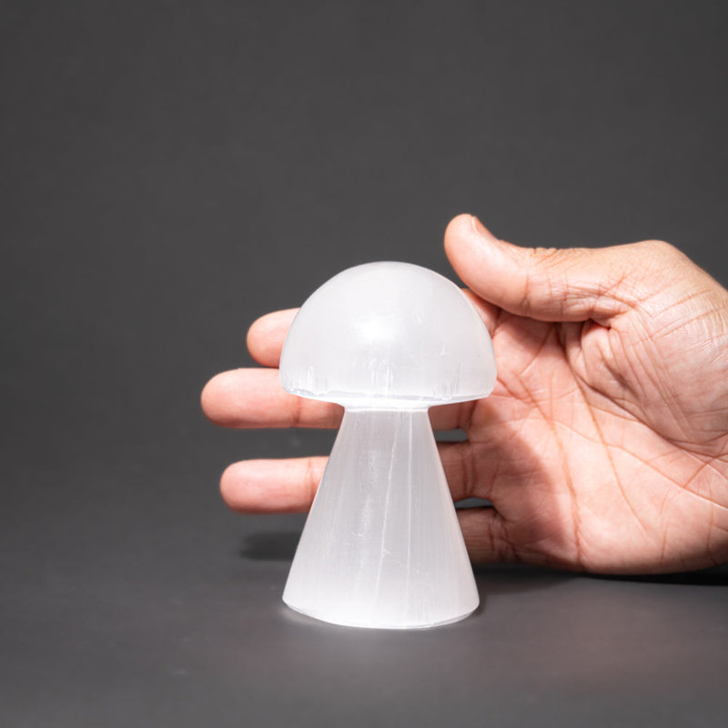 Cloche Or Water Globe