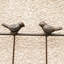 Ensemble de 2 treillis de jardin en métal 71 po x 19,7 po antirouille pour plantes grimpantes-73231859