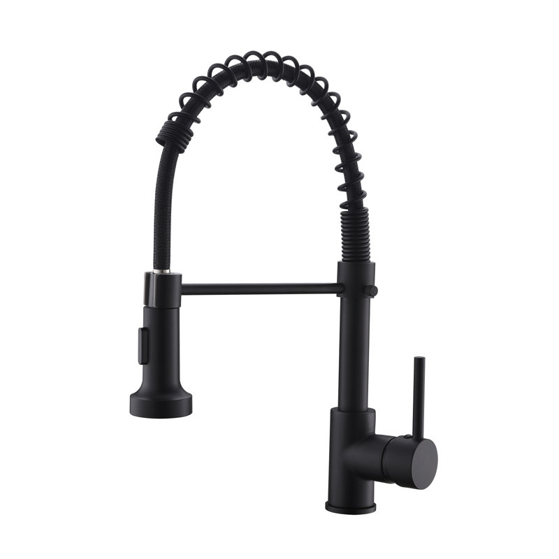 Robinet de cuisine noir avec douchette extractible | Robinet de lavabo monocommande à poignée simple | Idée de cadeau