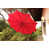 Red selected