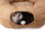 Agneau, chat, beignet, tunnel, brun clair-354657612