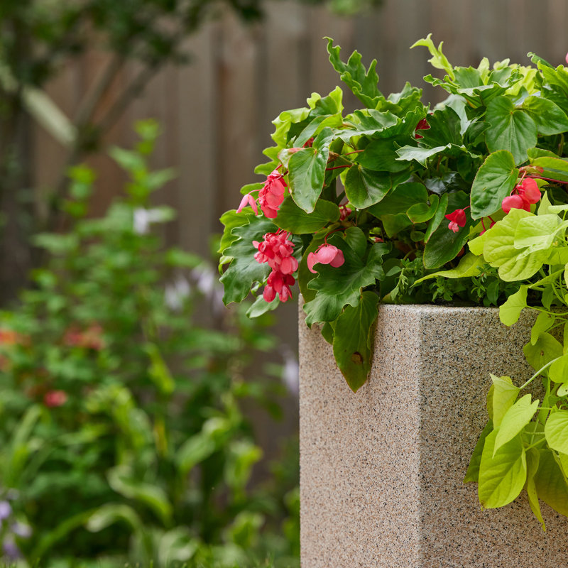 Argentine Trough Planter, Sandstone Granite