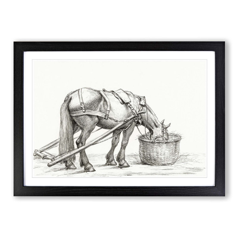 Horse Drinking by Jean Bernard - Picture Frame Drawing Print, 48cm H x 65cm W x 2cm D, Black Framed