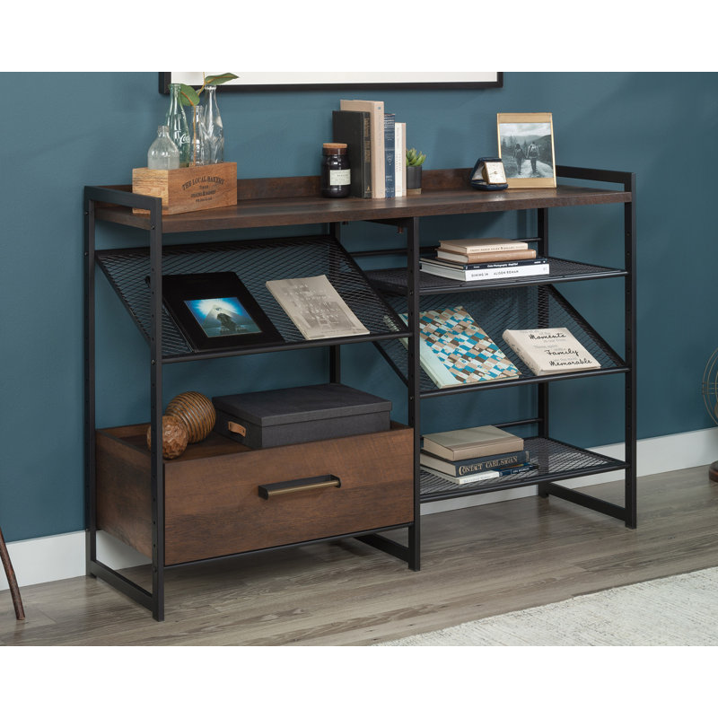 Prochaska Storage Bookcase