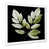 Cadre simple blanc