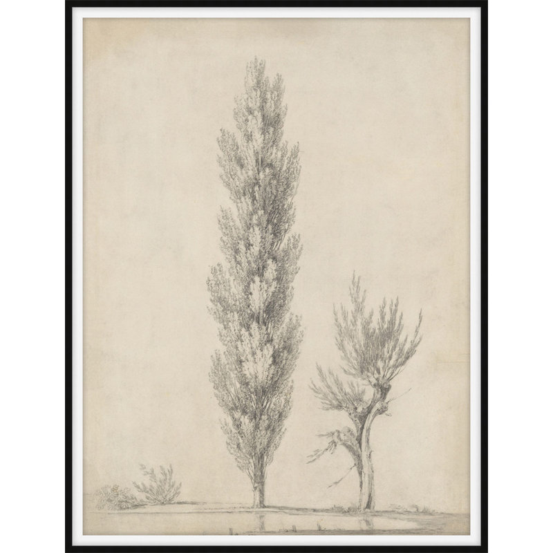 The Edge Of A Pond 1 Print by Art House Studios, 21" H x 18" W x 1" D