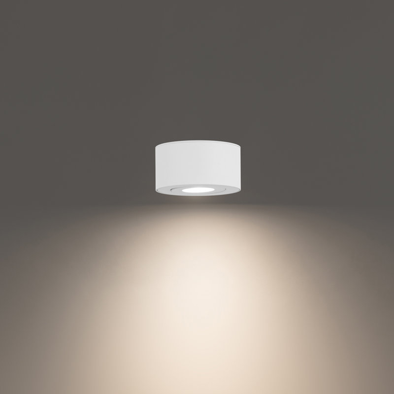Peek 1 - Light LED Flush Mount, White, 4000K