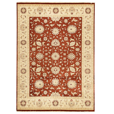 Hand Knotted Wool Area Rug in Rust And Ivory