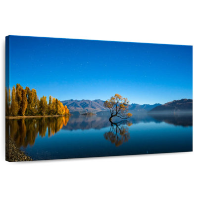 Alvord Lake Wanaka