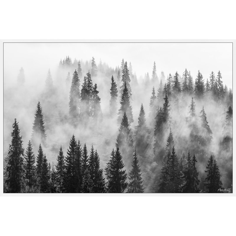 Fantasy Of Nature by Marmont Hill - Single Picture Frame Painting, 61cm H x 91cm W x 3.81cm D