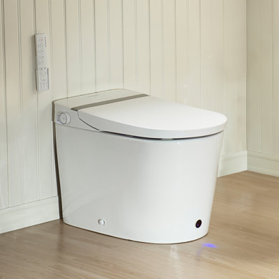 Modern Smart Toilet with Auto Open/Close Lid, 1000g MaP Flush, Heated Seat & Foam Shield, Blackout Flush, Bidet Toilet with Tank Built in
