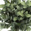 Ensemble de 2 brins d'eucalyptus artificiels de 28 cm (11 pouces), fausse verdure d'intérieur en pots noirs