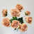 Light Apricot is out of stock