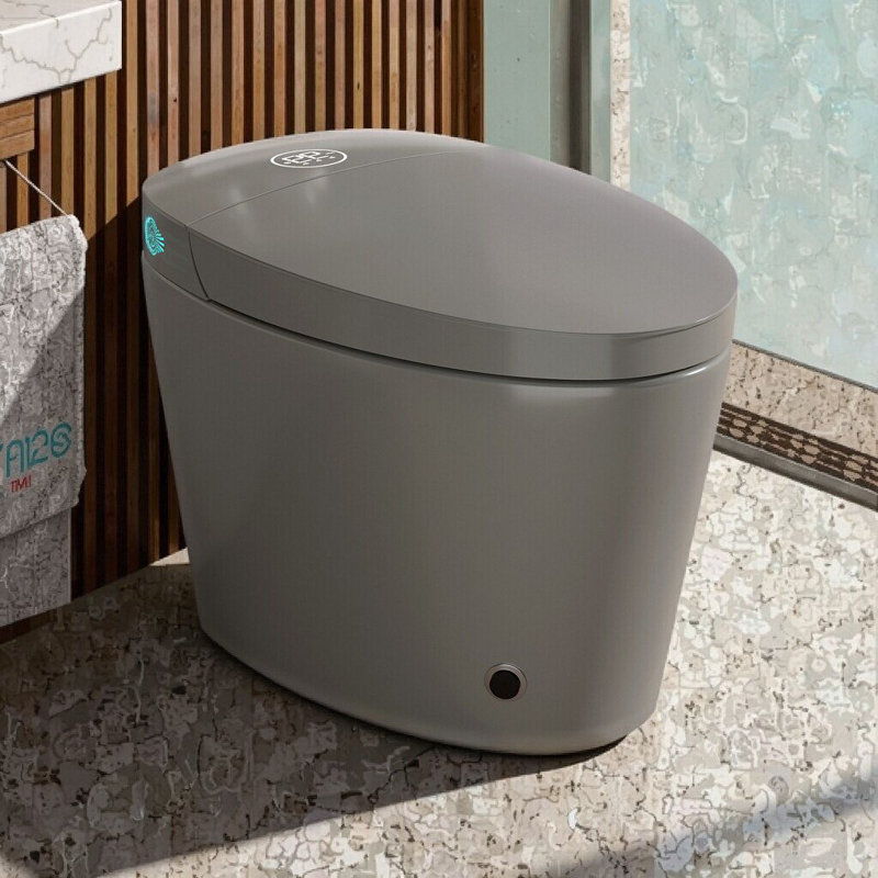Toilette Smart Bidet avec siège chauffant, lavage à l'eau chaude, chasse d'eau automatique et veilleuse, installation brute de 12 po