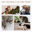 65cm H Cat Tree-1180451324