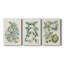 Buchoz Tropicals VI - Toile tendue avec châssis - 3 pièces-1518654480