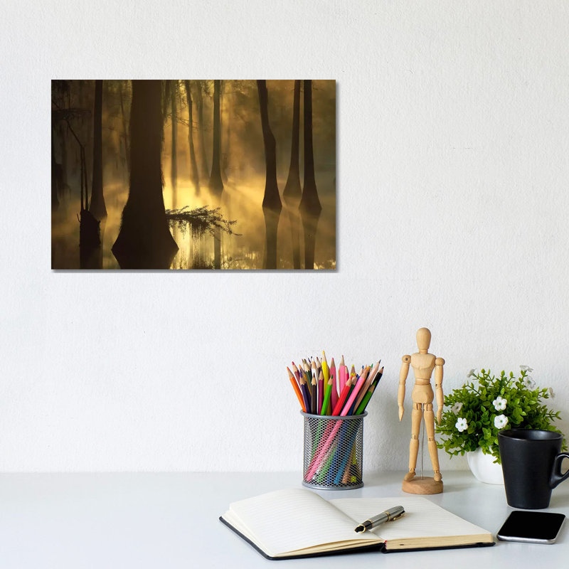 Bald Cypress Grove In Freshwater Swamp At Dawn, Lake Fausse Pointe, Louisiana I by Tim Fitzharris - Wrapped Canvas Print