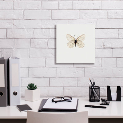 «Papillon blanc» par PhotoINC Studio