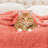 Superior Solid Polyester Reversible All-Season Fleece Throws Blanket-904113360-918670931