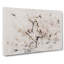 Pink Cherry Blossom Flowers Vol.7 - Wrapped Canvas-61877477