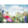 Summer Meadow With Butterflies by Borchee - Print