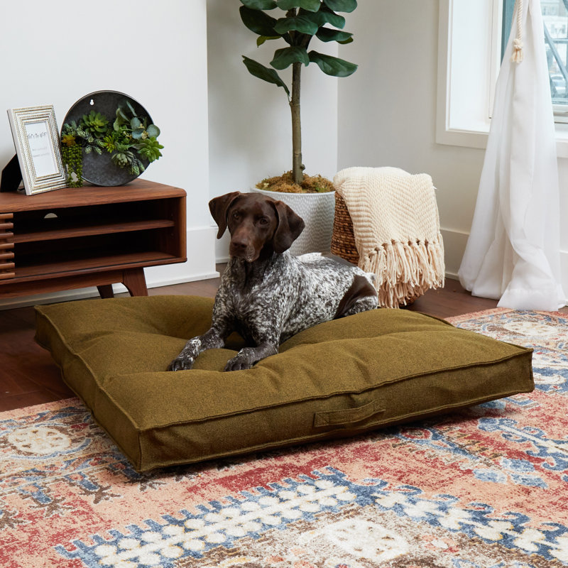 Lit pour chien Longwood, Moss, Grand (l 40 po x P 40 po x H 6 po)