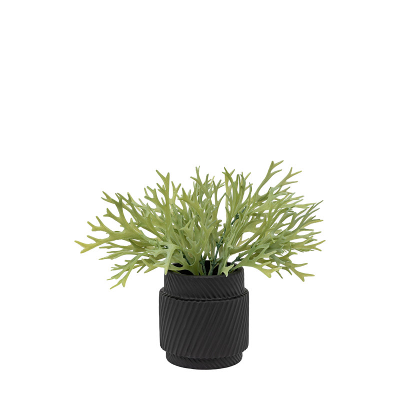 Arrangement