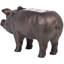Figurine Targhee