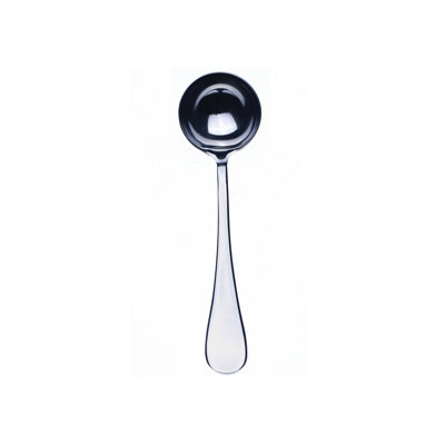 Brescia Stainless Steel Ladle