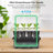 Boshen Growing Kit-100943825