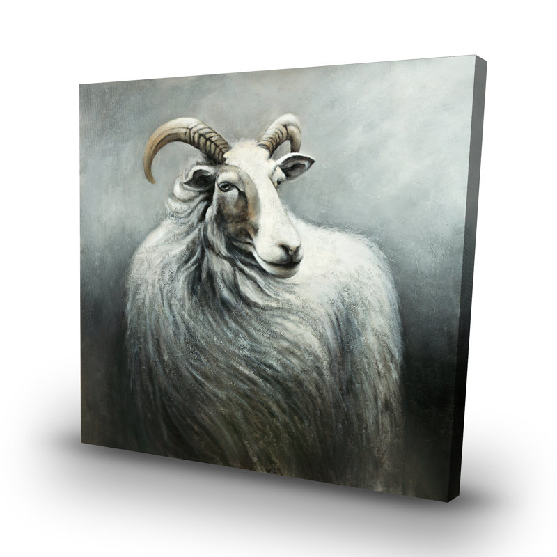 Cashmere goat - 32"x32" art on canvas