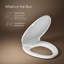 Border Readylatch Quiet-Close Toilet Seat-91038251-91038253