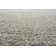 Brackley Area Rug
