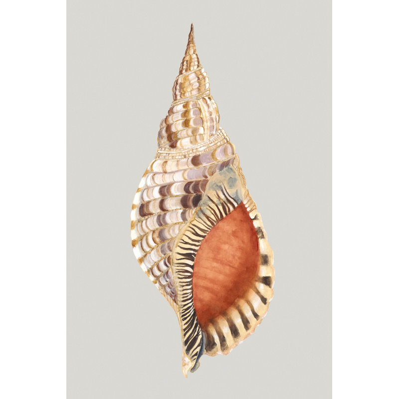 Giant Triton by Michael Willett - Wrapped Canvas Print, 122cm H x 81cm W x 3.8cm D