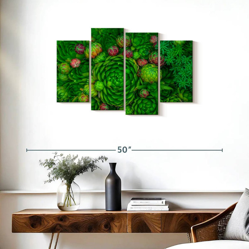 Plantes grasses vertes Harnek, H 22 po x l 36 po