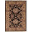 Wool Oriental Area Rug in Black/Brown