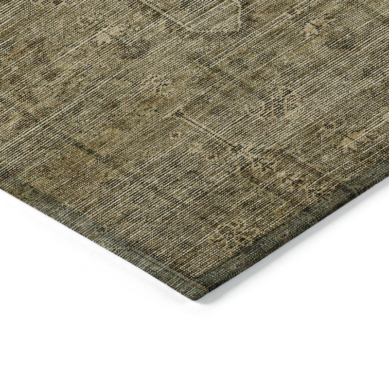 Chamaya Southwestern Indoor / Outdoor Rug, Rectangle 2'6" x 3'10"