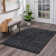 Sisler Performance Indoor Rug